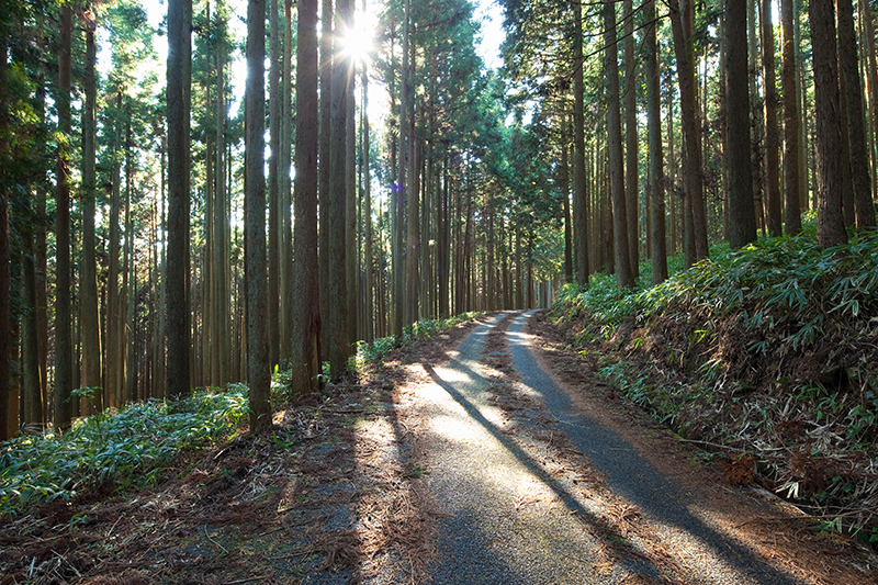 林道工事